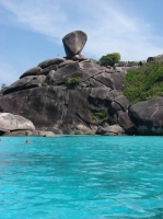 SIMILAN nov  2008 .PHOTO PHILIPPE (18).JPG
