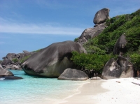 SIMILAN nov  2008 .PHOTO PHILIPPE (20).JPG