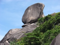 SIMILAN nov  2008 .PHOTO PHILIPPE (22).JPG