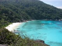 SIMILAN nov  2008 .PHOTO PHILIPPE (26).JPG