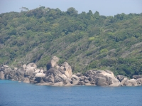 SIMILAN nov  2008 .PHOTO PHILIPPE (31).JPG