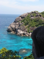SIMILAN nov  2008 .PHOTO PHILIPPE (32).JPG