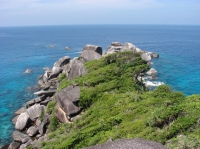 SIMILAN nov  2008 .PHOTO PHILIPPE (34).JPG