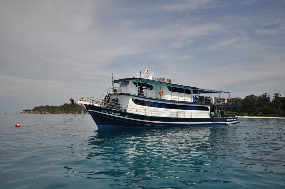 SIMILAN nov  2008 .PHOTO DOMINQUE (9).JPG