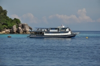 SIMILAN nov  2008 .PHOTO DOMINQUE (1).JPG