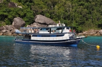 SIMILAN nov  2008 .PHOTO DOMINQUE (2).JPG