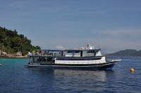 SIMILAN nov  2008 .PHOTO DOMINQUE (4).JPG