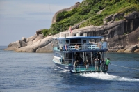 SIMILAN nov  2008 .PHOTO DOMINQUE (6).JPG