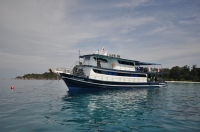 SIMILAN nov  2008 .PHOTO DOMINQUE (9).JPG