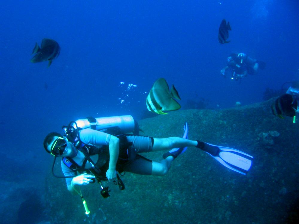 SIMILAN nov  2008 .PHOTO ARNOLD (67).JPG