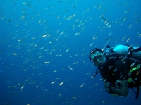 SIMILAN NOV 2008 .PHOTO LORAN (61).JPG