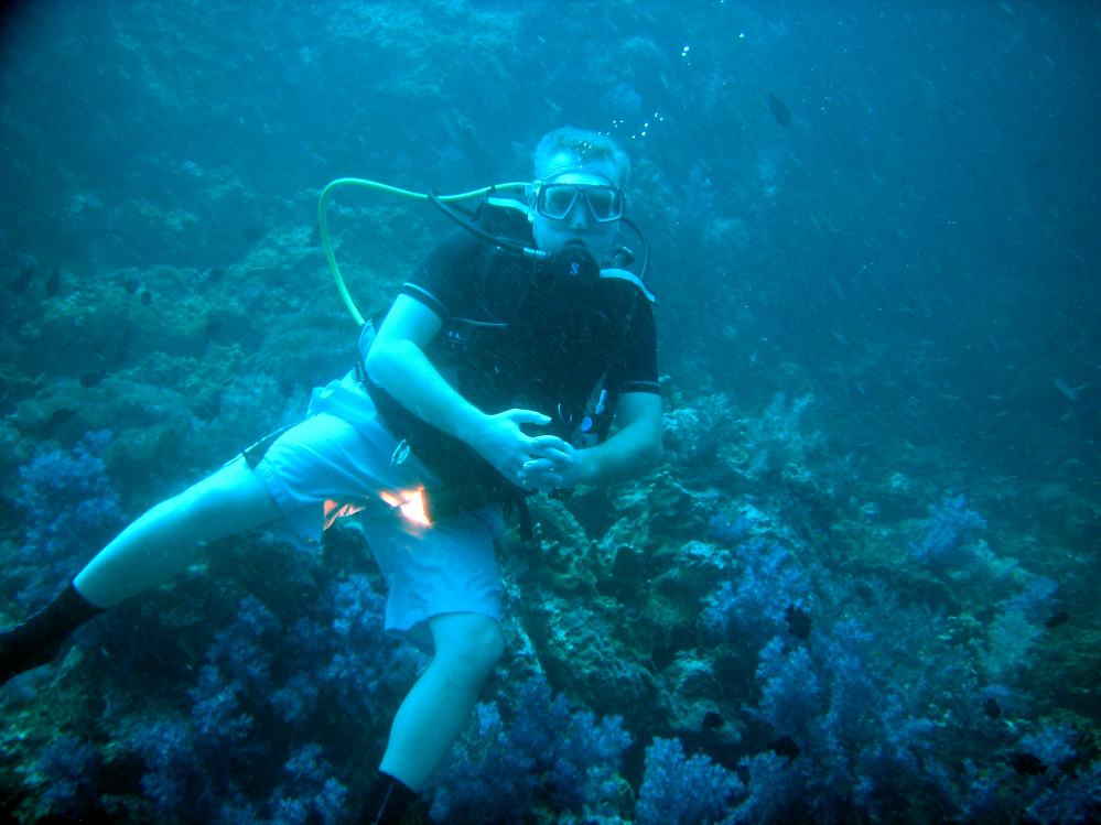 SIMILAN nov  2008 .PHOTO PHILIPPE (92).JPG