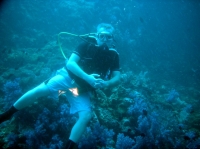 SIMILAN nov  2008 .PHOTO PHILIPPE (92).JPG