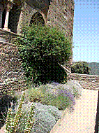 DSC00365.JPG