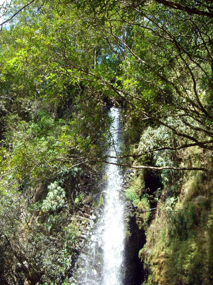 DSC00726.JPG