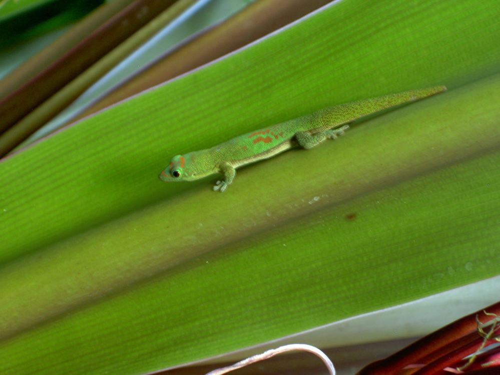 PICT8255.JPG