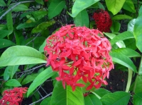 DSC00707.JPG