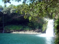 DSC00724.JPG