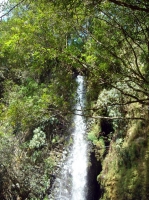 DSC00726.JPG