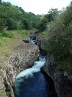 DSC00740.JPG