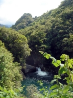 DSC00741.JPG