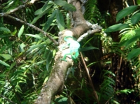 DSC00753.JPG