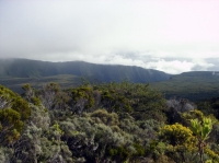 DSC00773.JPG