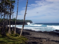 DSC00817.JPG