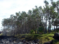 DSC00822.JPG