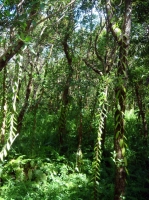 DSC00823.JPG