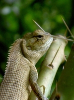 PICT8244.JPG