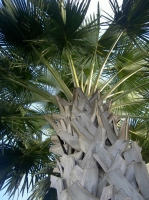 PICT8247.JPG