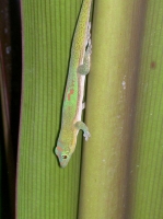 PICT8254.JPG