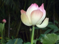 PICT8259.JPG