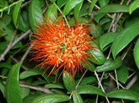 PICT8261.JPG