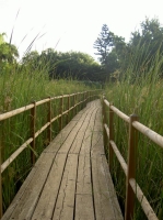 PICT8262.JPG