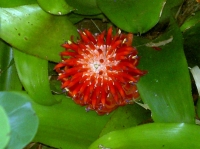 PICT8263.JPG