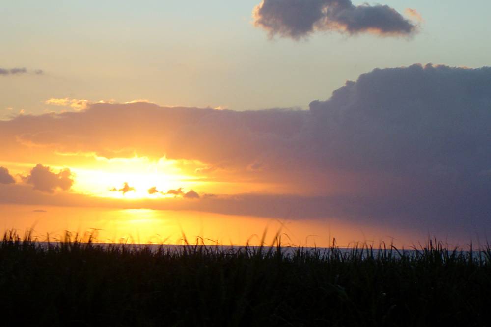 COUCHER DE SOLEIL MRU.jpg
