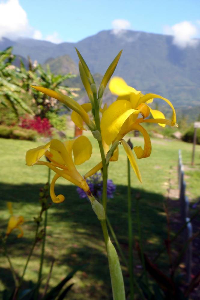 DSC01260 copie.jpg