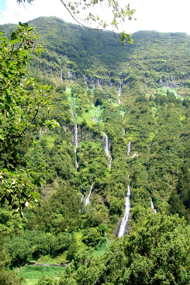 DSC01278 copie.jpg