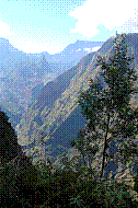 DSC01005 copie.jpg