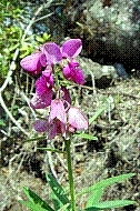 DSC01025 copie.jpg