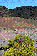 DSC01082 copie.jpg