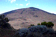 DSC01087 copie.jpg