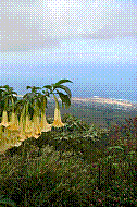 DSC01108 copie.jpg