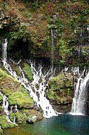 DSC01145 copie.jpg