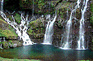 DSC01148 copie.jpg