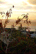 DSC01162 copie.jpg