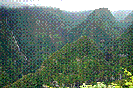 DSC01201 copie.jpg