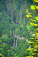 DSC01207 copie.jpg